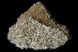 Transparent Columnar Calcite Crystal Cluster on Quartz - China #164008-2